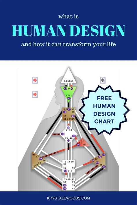 人類圖合盤免費|免費人類設計圖 Free Human Design Chart